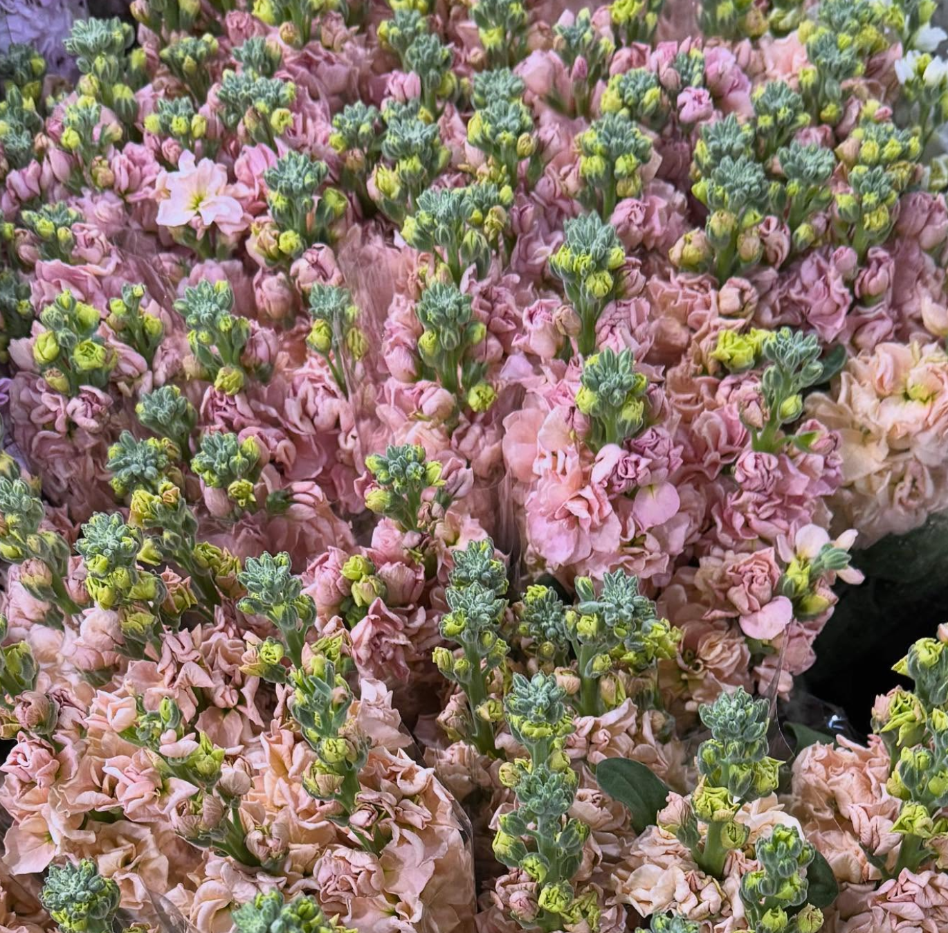 Floral arrangement 3