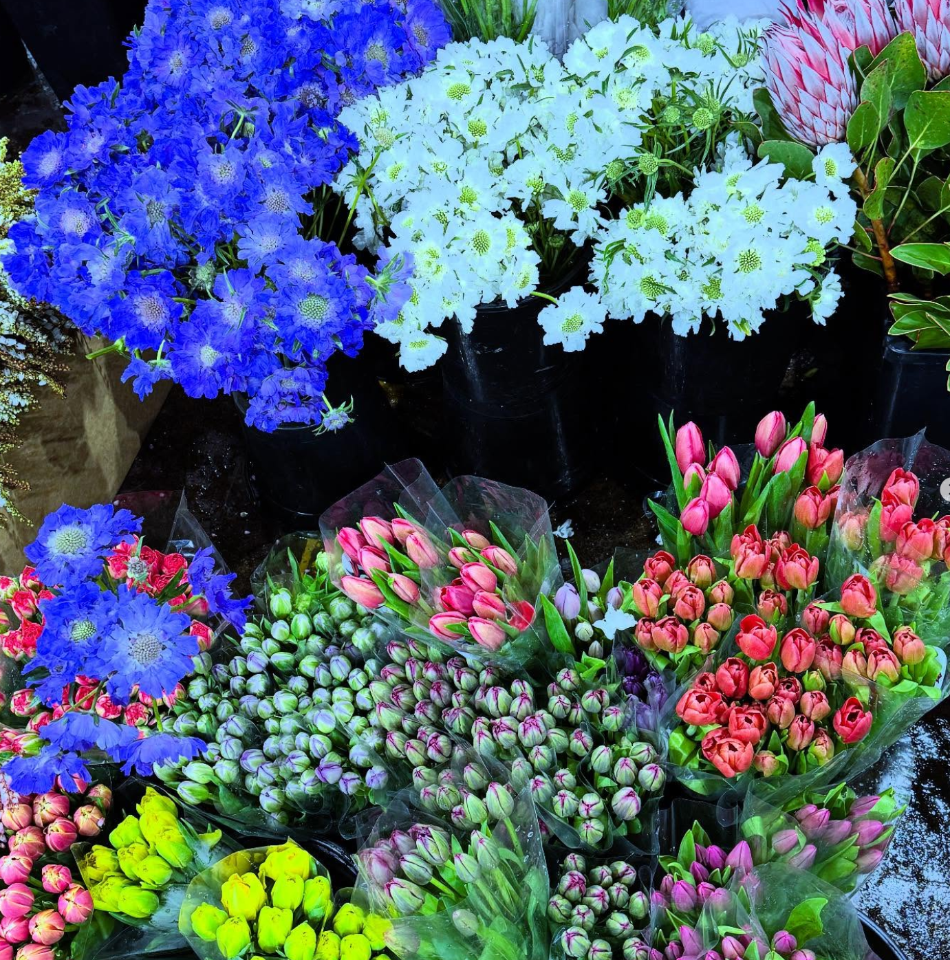 Floral arrangement 4