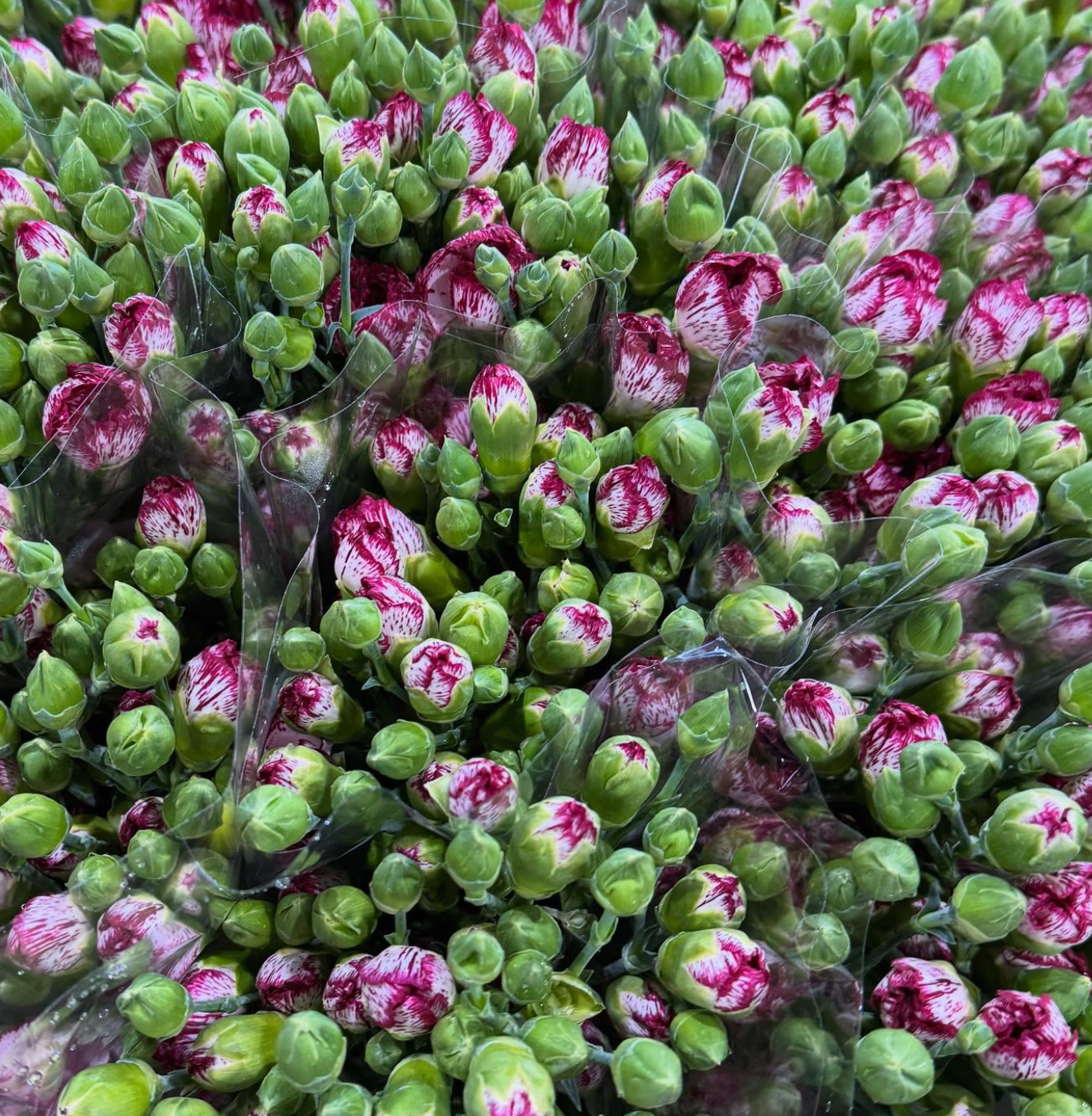 Floral arrangement 5