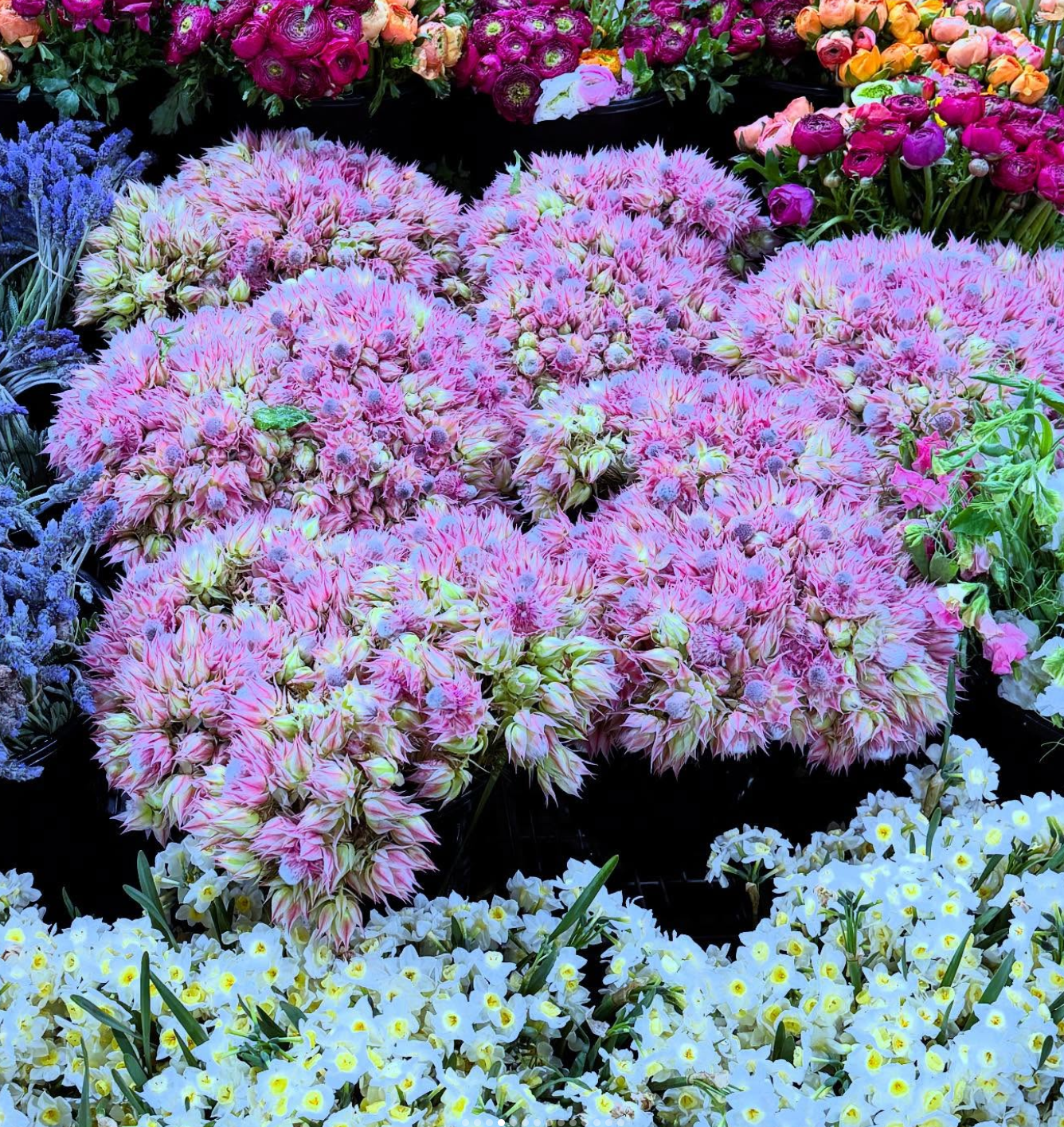 Floral arrangement 7