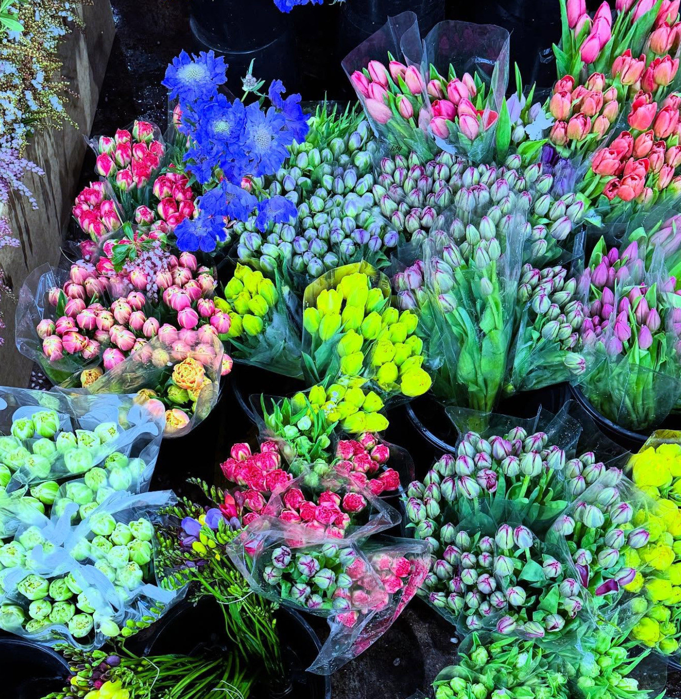 Floral arrangement 8